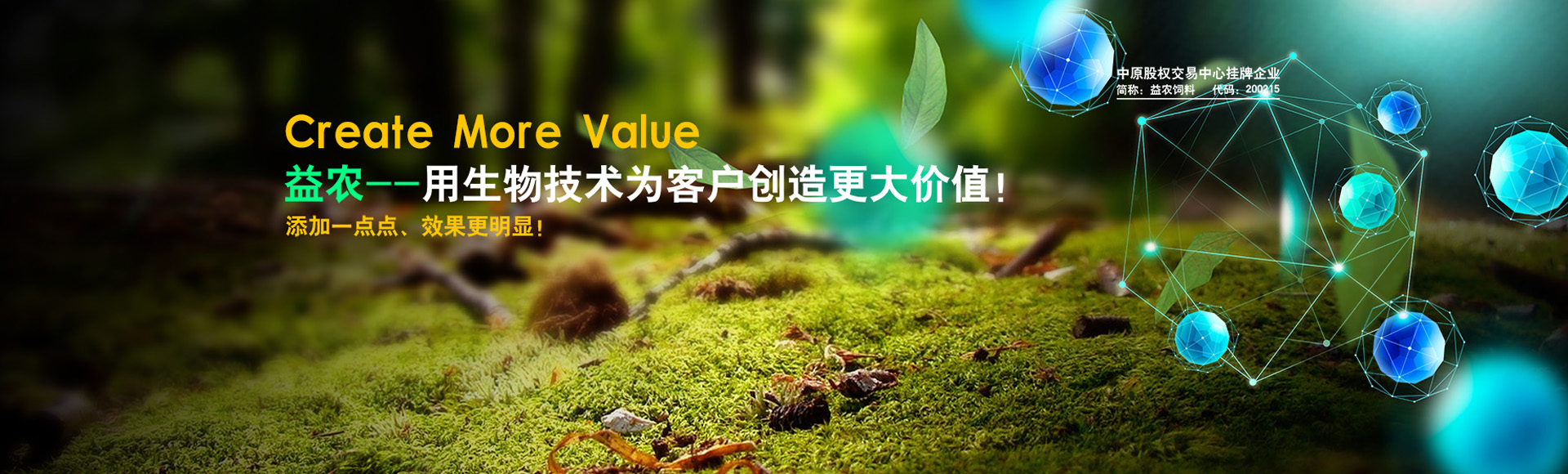 汤阴县k8凯发一触即发饲料有限责任公司