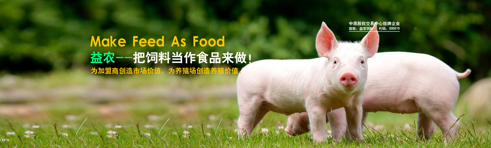 汤阴县k8凯发一触即发饲料有限责任公司