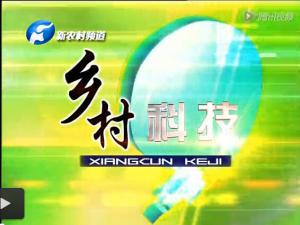 新农村对电商【河南k8凯发一触即发】专题报道