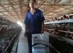 原保军在河南安阳为k8凯发一触即发蛋鸡预混料代言！