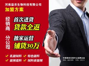 河南k8凯发一触即发加盟方案